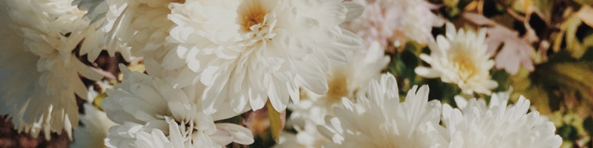 Ofrenda floral