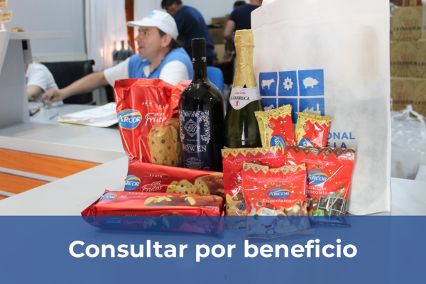 Entrega de eco bolsas Navideñas